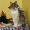 Отзыв от Юлия Анисимова